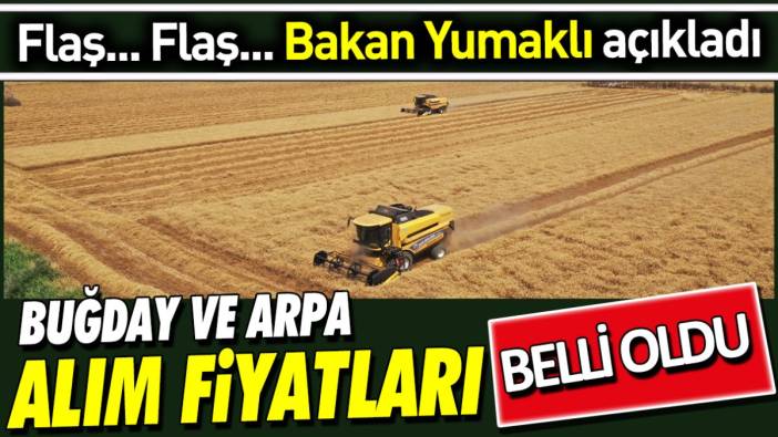 Son dakika... Buğday ve arpa alım fiyatları belli oldu