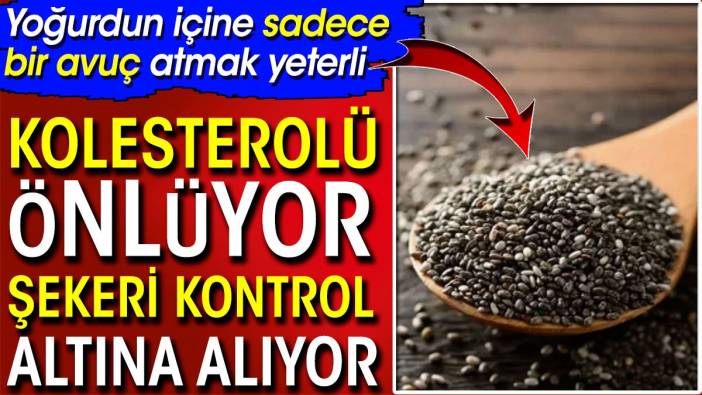 Kolesterolü önlüyor şekeri kontrol altına alıyor! Yoğurdun içine sadece bir avuç atmak yeterli