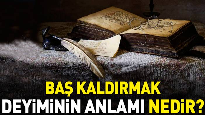 Baş kaldırmak deyimi ne anlama geliyor?