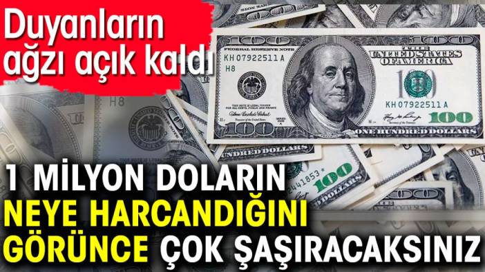 1 milyon doların neye harcandığını görünce çok şaşıracaksınız. Duyanların ağzı açık kaldı