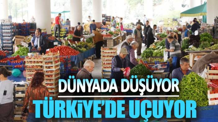 Dünyada düşüyor Türkiye'de uçuyor