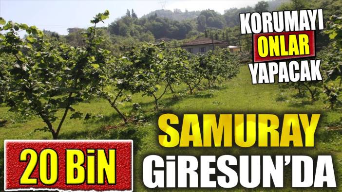 20 bin samuray Giresun’da. Korumayı onlar yapacak