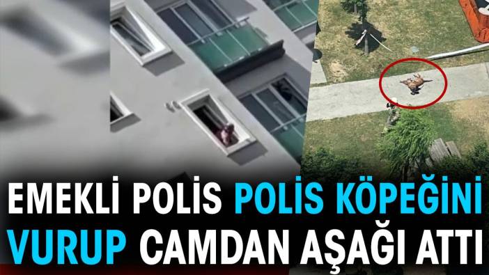 Emekli polis, polis köpeğini vurup camdan aşağıya attı