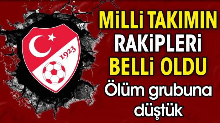 Milli takımın rakipleri belli oldu. Ölüm grubuna düştük