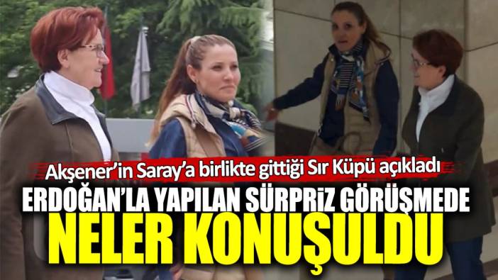 Akşener’in Saray’a birlikte gittiği Sır Küpü Erdoğan ile neler konuşulduğunu açıkladı