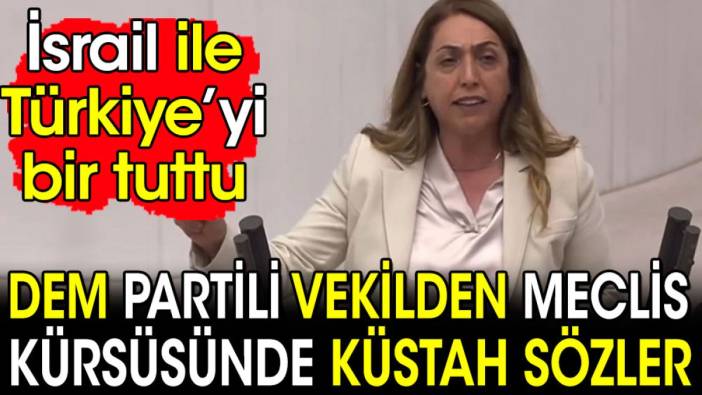 DEM Partili vekilden Meclis kürsüsünde küstah sözler. Türkiye'yi İsrail ile bir tuttu