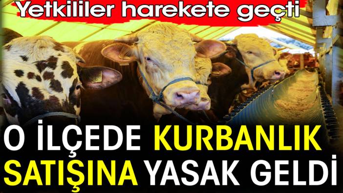 O ilçede kurbanlık satışına yasak geldi. Yetkililer harekete geçti