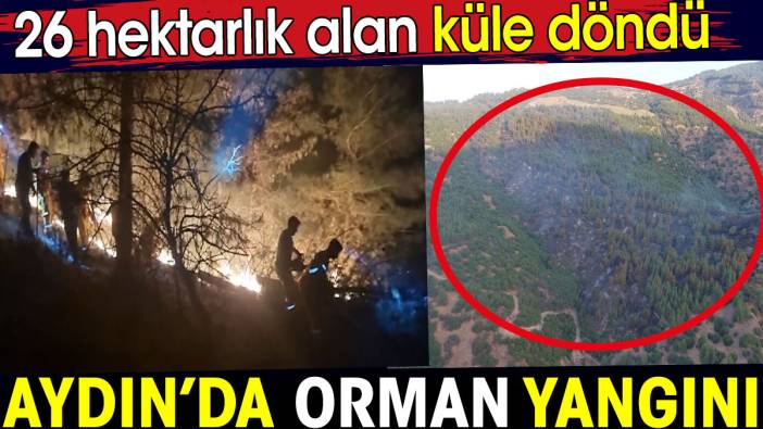 Aydın’da orman yangını. 26 hektarlık alan küle döndü