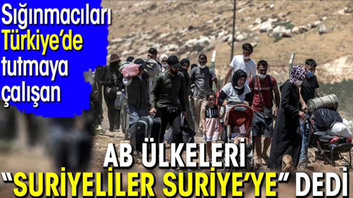 Sığınmacıları Türkiye’de tutmaya çalışan AB ülkeleri 'Suriyeliler Suriye’ye' dedi