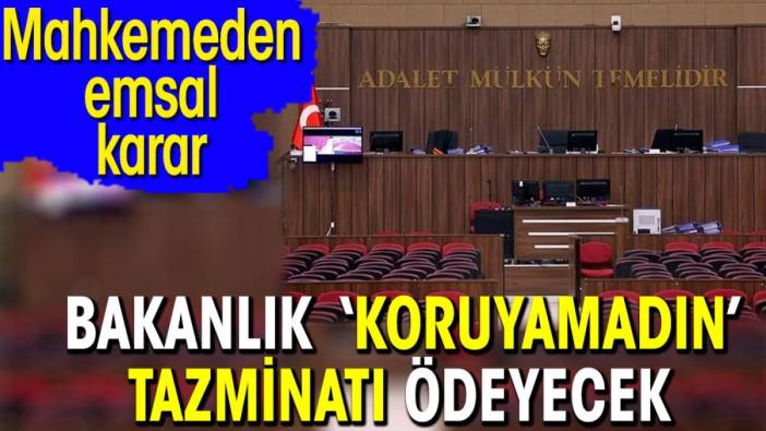 Bakanlık ‘Koruyamadın’ tazminatı ödeyecek. Mahkemeden emsal karar