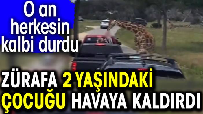 Zürafa 2 yaşındaki çocuğu havaya kaldırdı. O an herkesin kalbi durdu