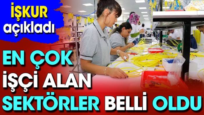 En çok işçi alan sektörler belli oldu. İŞKUR açıkladı