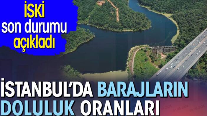 İstanbul'da barajların doluluk oranları. İSKİ son verileri açıkladı