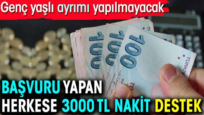 Başvuru yapan herkese 3000 TL nakit destek. Genç yaşlı ayrımı yapılmayacak