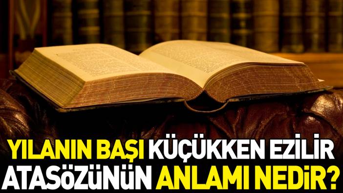 Yılanın başı küçükken ezilir atasözünün anlamı nedir?