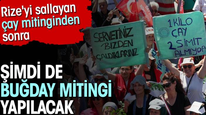 Rize'yi sallayan çay mitinginden sonra şimdi de Buğday mitingi yapılacak