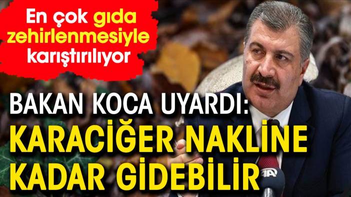 Bakan Koca uyardı: Karaciğer nakline kadar gidebilir