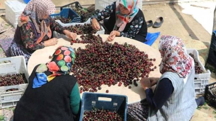 Konya'dan çıkıyor Türkiye'ye yayılıyor. 5 günde ne var ne yok sattılar