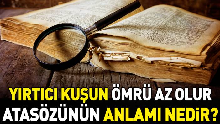 Yırtıcı kuşun ömrü az olur atasözünün anlamı nedir?