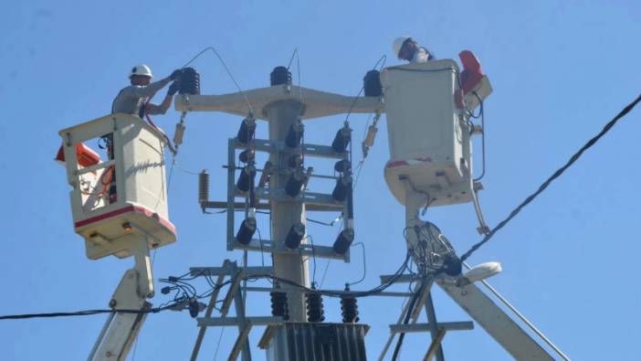 Kuşların akıma kapılmaması için elektrik hatları güçlendirildi