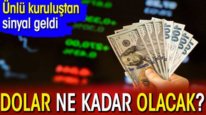 Dolar ne kadar olacak? Ünlü kuruluştan sinyal geldi