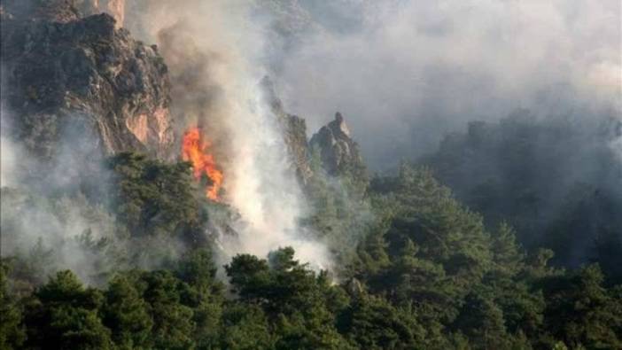 İzmir'de orman yangını