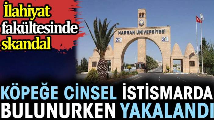 Köpeğe cinsel istismarda bulunurken yakalandı. İlahiyat fakültesinde skandal