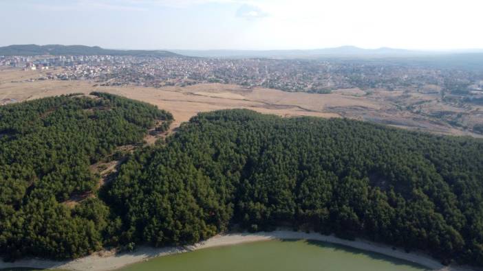 Edirne'de ormanlara girişlere yönelik kısıtlama başladı