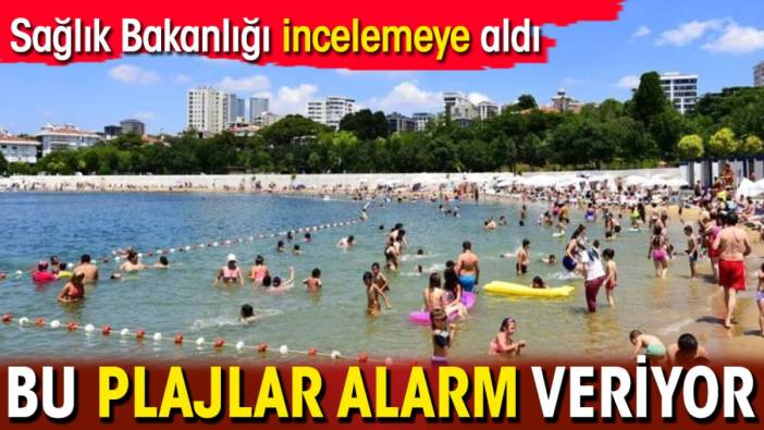 Sağlık Bakanlığı incelemeye aldı: Bu plajlar alarm veriyor