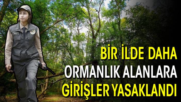 Bir ilde daha ormanlık alanlara girişler yasaklandı