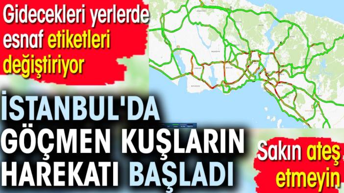 İstanbul'da göçmen kuşların harekatı başladı. Gidecekleri yerlerde esnaf etiketleri değiştiriyor