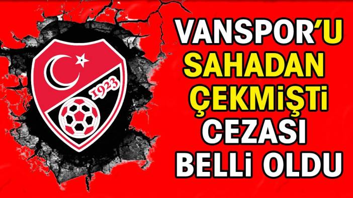 Bursaspor maçında Vanspor'u sahadan çekmişti. Cezası belli oldu