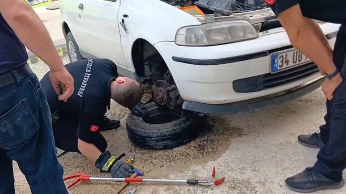 Aracın motoruna giren yılan sürücüye ter döktürdü