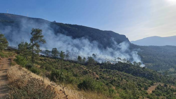 Mersin'de ormanda çıkan yangın hızlıca kontrol altına alındı