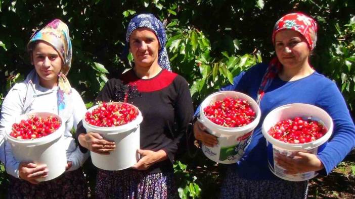 Erzincan'da sezonu başladı: Yurt içi ve yurt dışından büyük rağbet görüyor