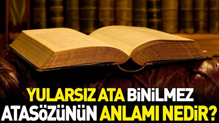 Yularsız ata binilmez atasözünün anlamı nedir?