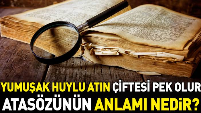 Yumuşak huylu atın çiftesi pek olur atasözünün anlamı nedir?