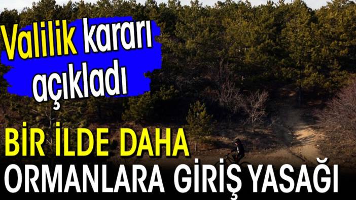 Bir ilde daha ormanlara giriş yasağı! Valilik duyurdu