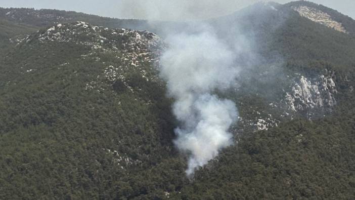 Muğla'da korkutan yangın! Havadan ve karadan harekete geçtiler