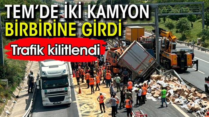 TEM'de iki kamyon birbirine girdi. Trafik kilitlendi