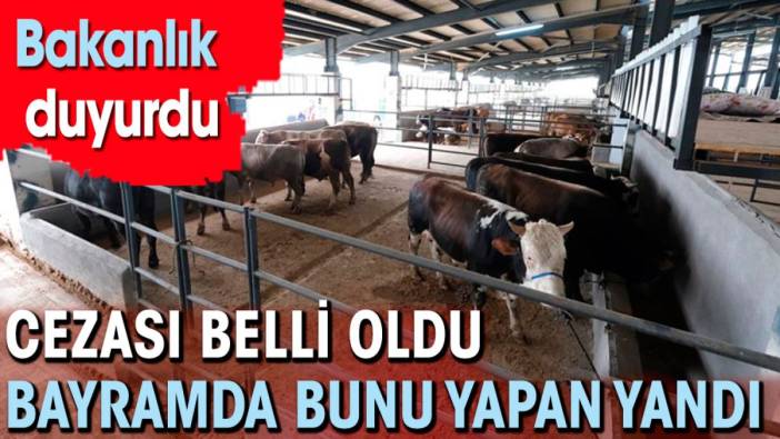 Bakanlık duyurdu. Cezası belli oldu bayramda bunu yapan yandı