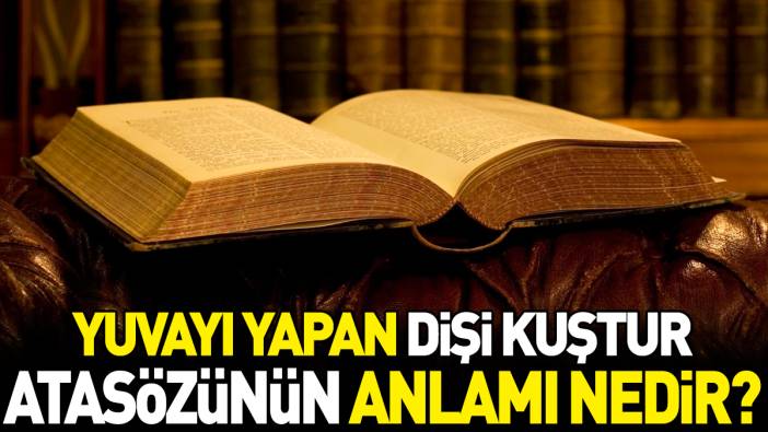 Yuvayı yapan dişi kuştur atasözünün anlamı nedir?