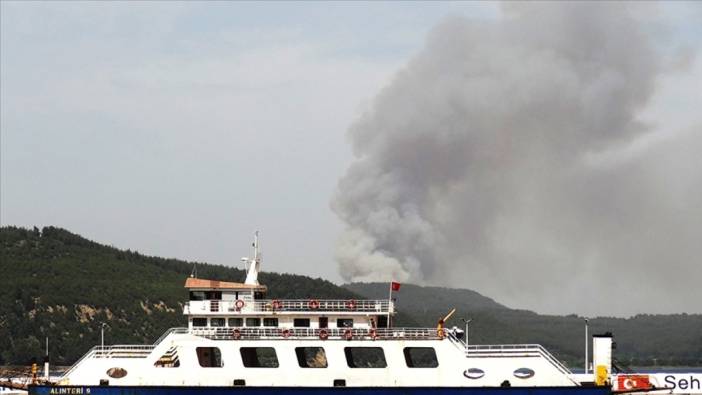 Çanakkale'de orman yangını (13 Haziran 2024)