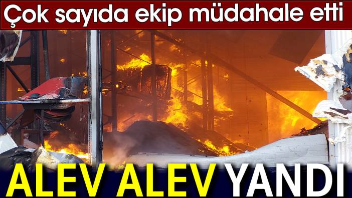 Alev alev yandı. Çok sayıda ekip müdahale etti