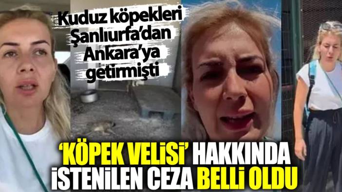 Buket Özgünlü için istenilen ceza belli oldu! Şanlıurfa’dan Ankara’ya kuduz köpek getirmişti