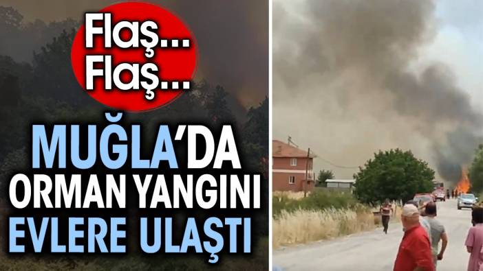 Flaş... Flaş.. Muğla’da orman yangını evlere ulaştı