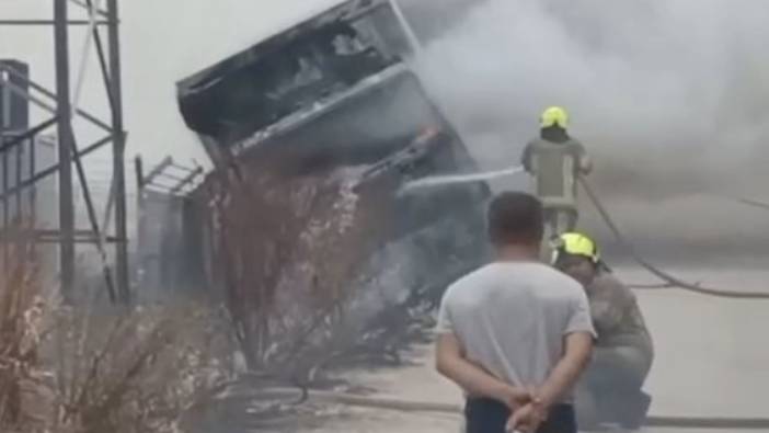 Kamyonete giren arı kazaya neden oldu