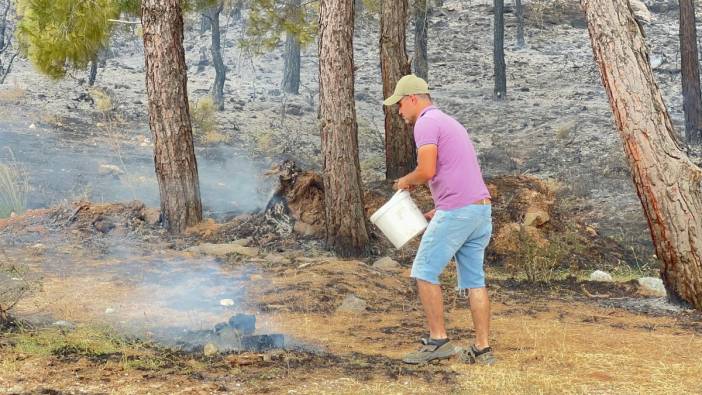 Milas'ta yangın felaketi: 48 hektar ormanlık alan kül oldu