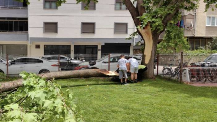 Şiddetli lodos cami bahçesinde ağacı devirdi: 1 yaralı