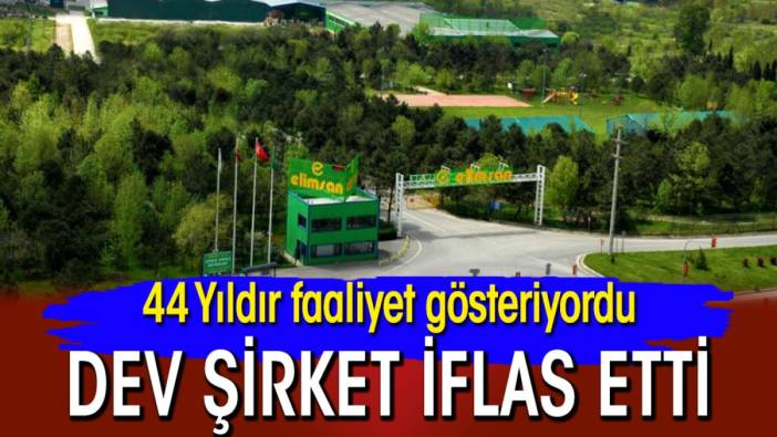 44 Yıldır faaliyet gösteriyordu: Dev şirket iflas etti